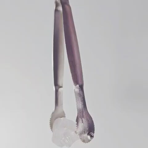 Collar Ishi  Cuarzo Cristal